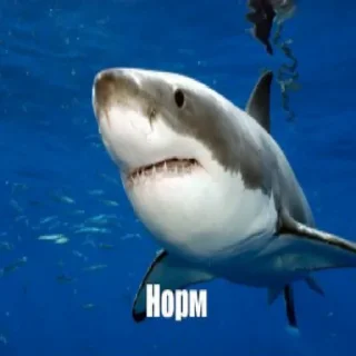 😐