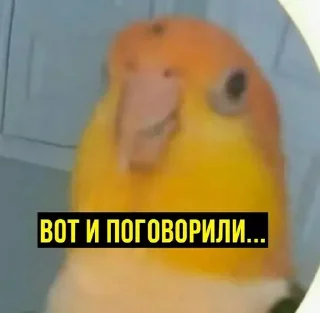 🌝