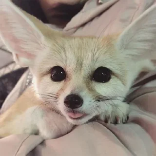 😋