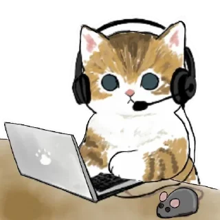 👩‍💻