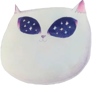 ✨