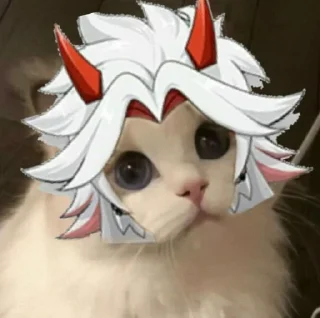 ✨
