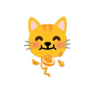 🐱