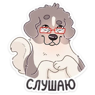 🐶
