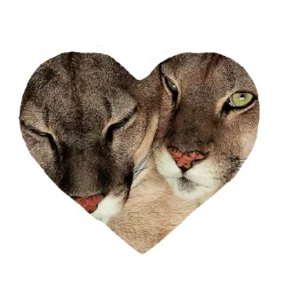 ❤