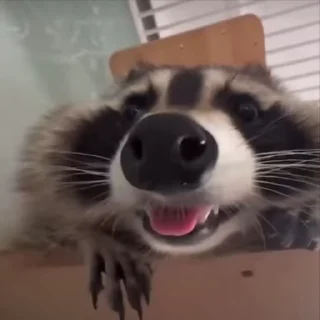 ☺️