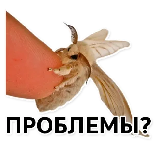 😖