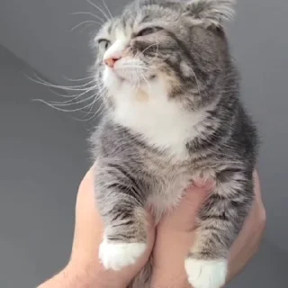 😦