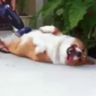 😁