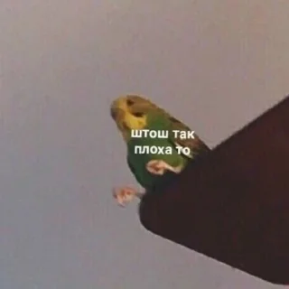 🥺