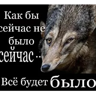 🐺
