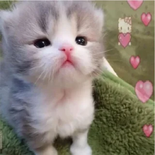 💖