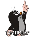 KRTeK