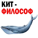 Whale @stickersb2b