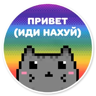misanthropic cat