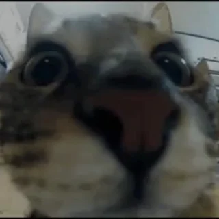 😱