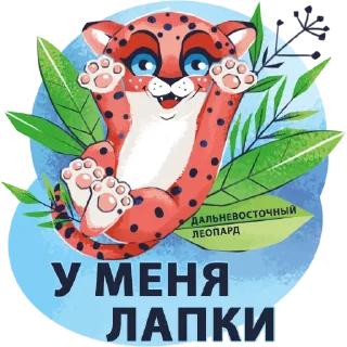 Культурное Приморье