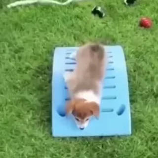 😑