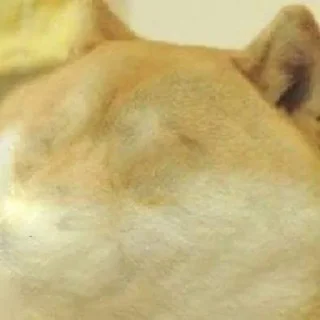😶