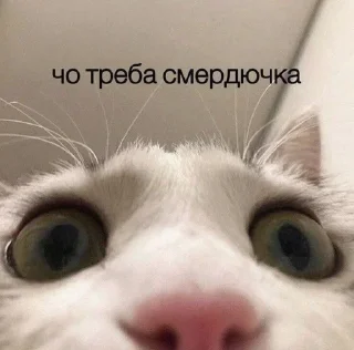 🙄