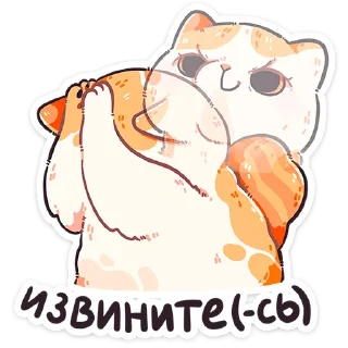 🐱