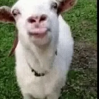 😛