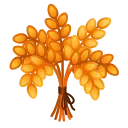 💐