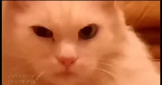 🤨