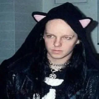 😼