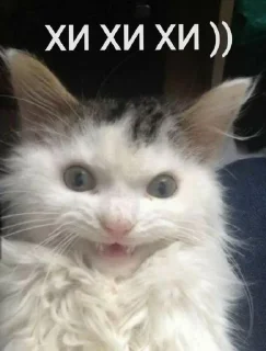 😅
