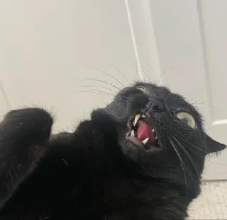 🤬
