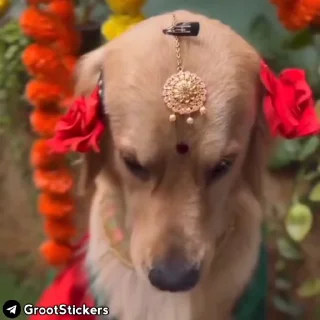 😂