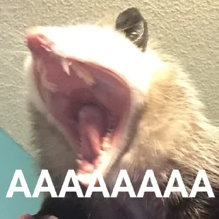 🤬