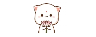 🌷