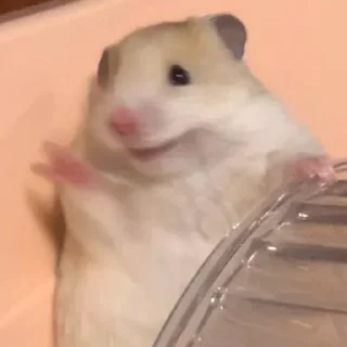 🤗