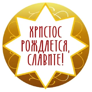 ✨