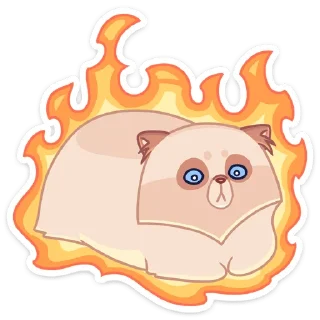 🔥