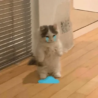 💗