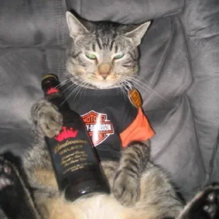🍷