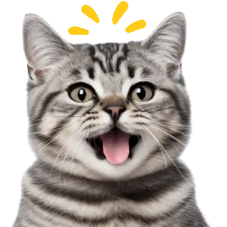 😛