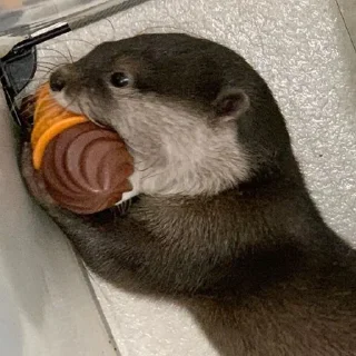 🍦