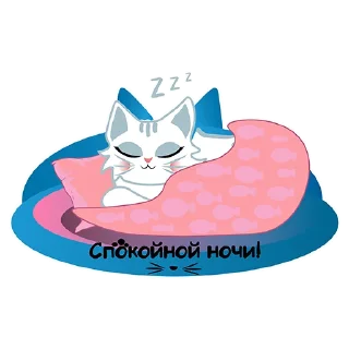 😴