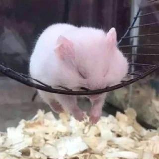 😮‍💨