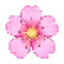 🌸