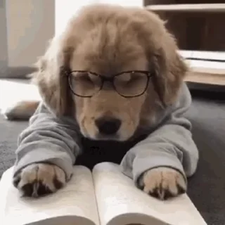 🤓