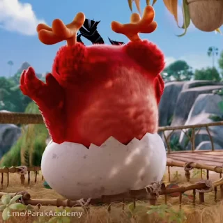 👍