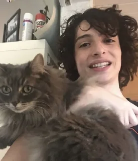 😻
