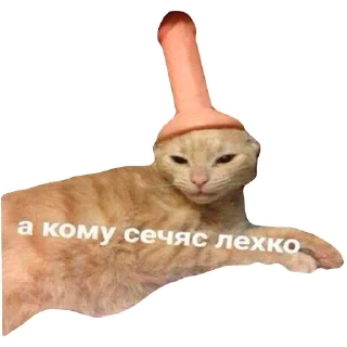 🧐