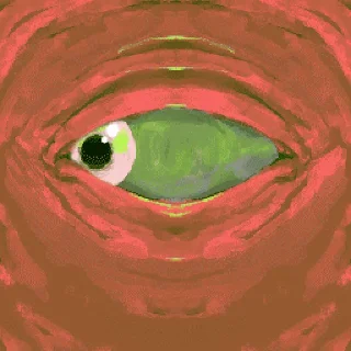 👀