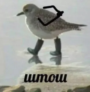 🧐